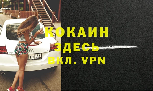 apvp Алексин