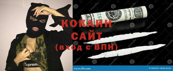 apvp Алексин