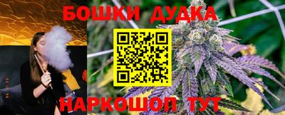 молекула духа Боровичи