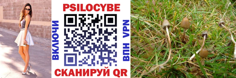 Галлюциногенные грибы GOLDEN TEACHER Богородск