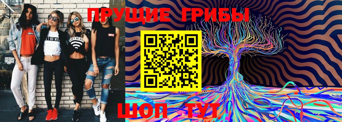 Галлюциногенные грибы Psilocybine cubensis  Вход с VPN  Богородск 